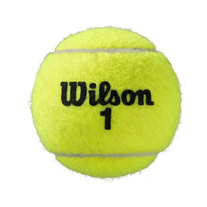 Wilson Tennisbälle Roland Garros Clay Dose 2x4er Bi-Pack – Bild 2
