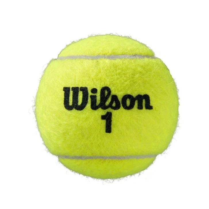 Wilson Tennisbälle Roland Garros Allcourt Dose 2x4er – Bild 2